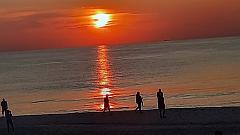 Sylt (156)